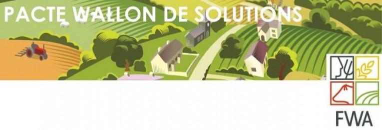 le-pacte-wallon-de-solutions