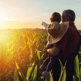 meststoffen-koolstofvrij-maken-tegen-2050-de-weg-naar-klimaatneutraliteit